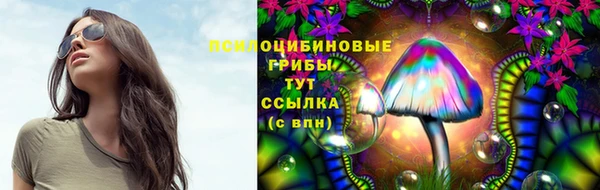 дживик Алзамай