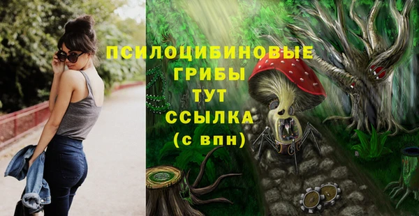 дживик Алзамай