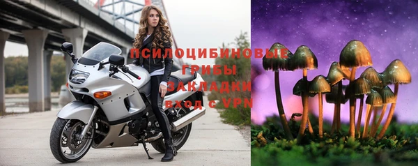 дживик Алзамай